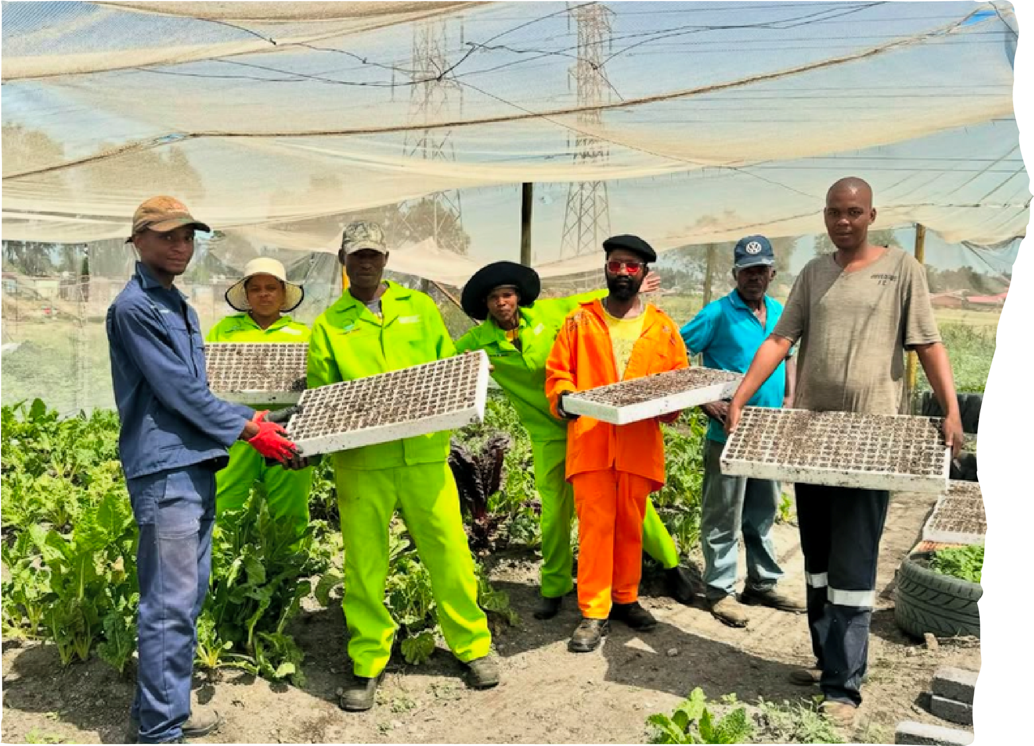 Sustainability Drive tree planting with local schools