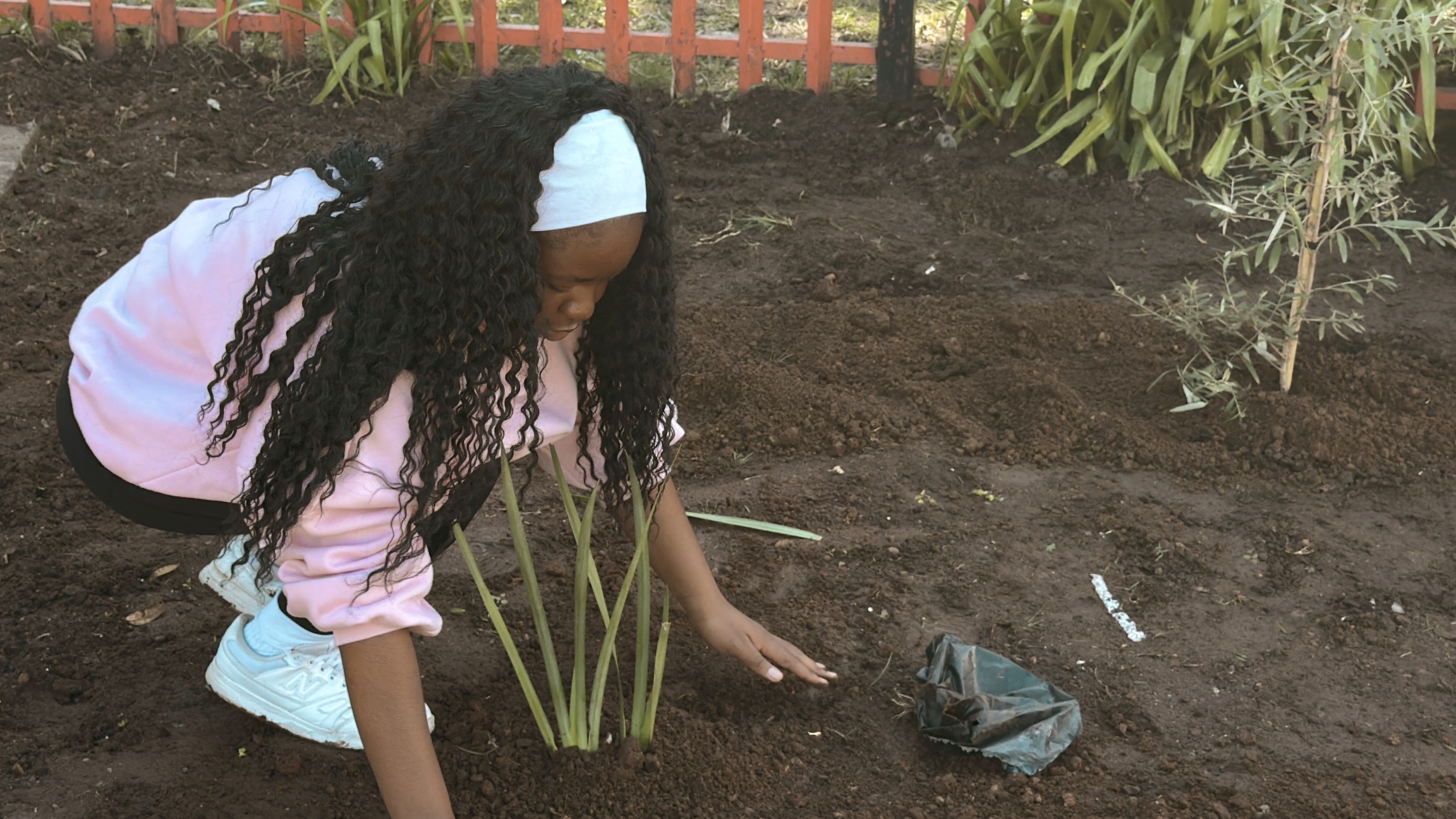 Sharpeville Community Project - Plant 12